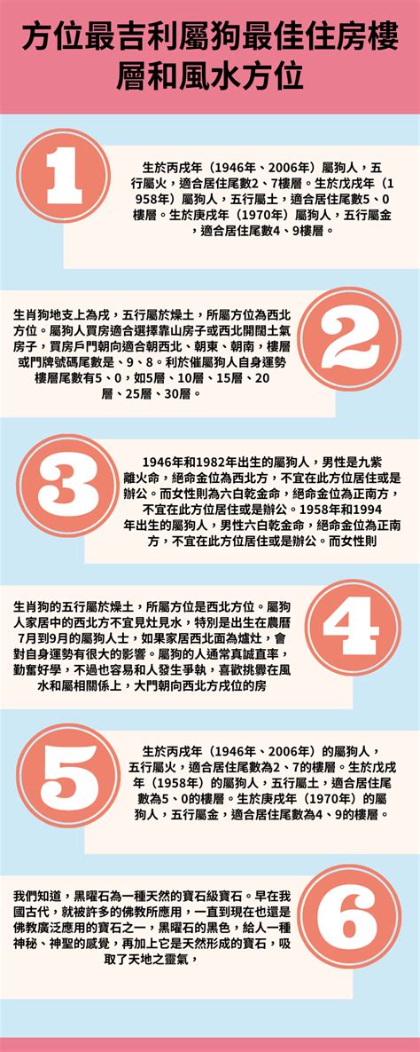 屬狗方位|【屬狗 方位】屬狗者必看！最強方位指南：買房、住樓層全攻略